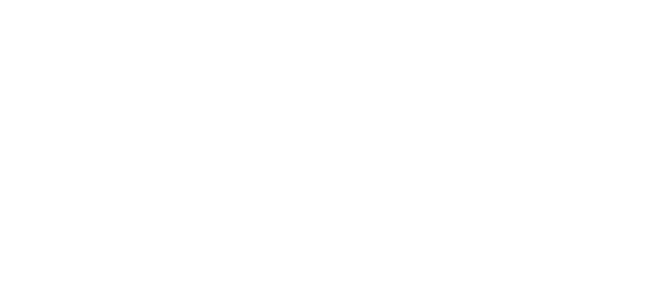 VSP Distribuidora